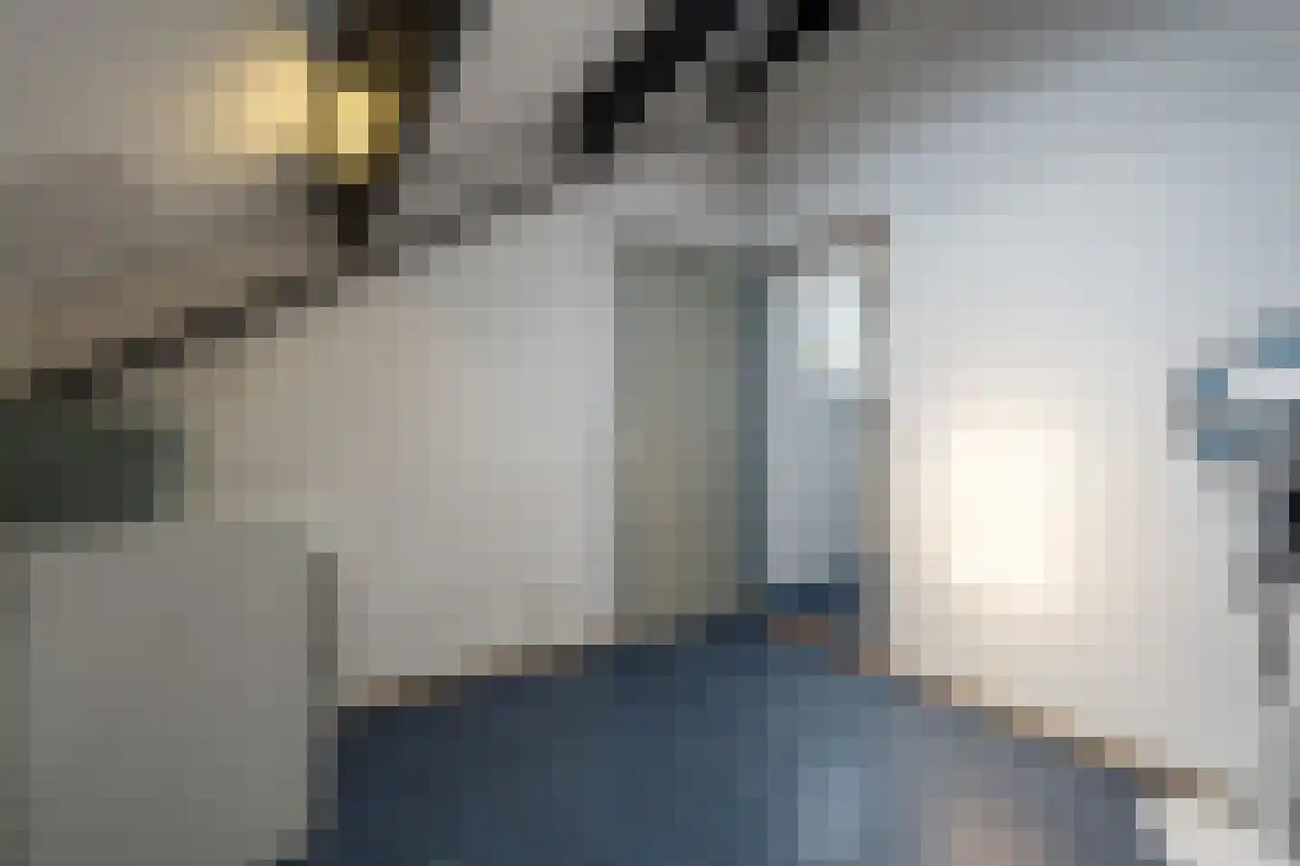 Laan van Westmolen 44 Mijnsheerenland thumbnail 36