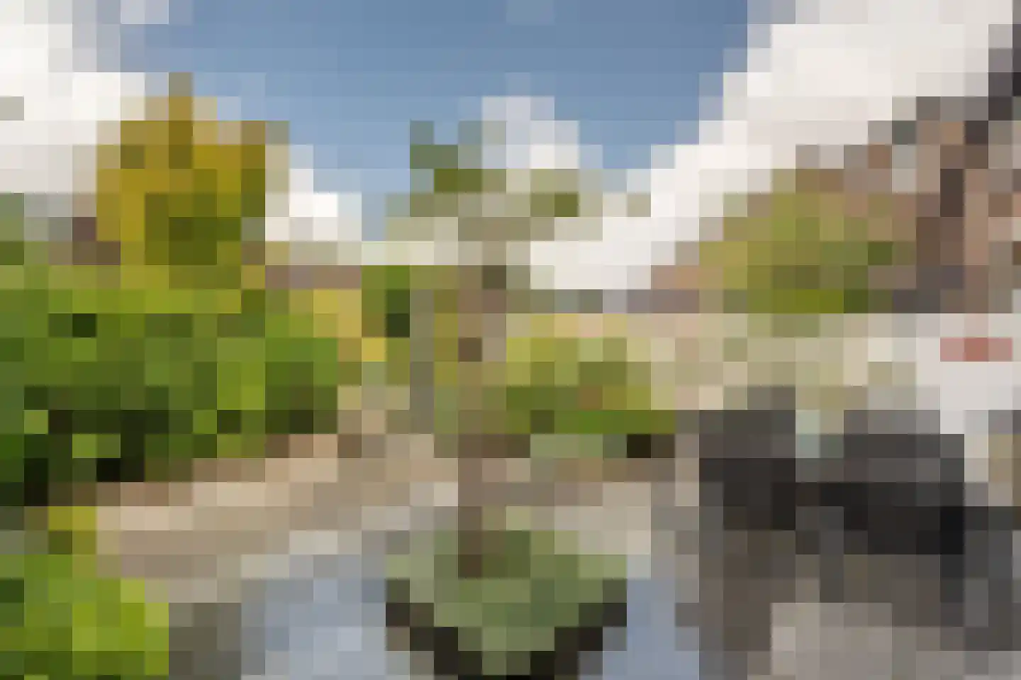 Laan van Westmolen 44 Mijnsheerenland thumbnail 38