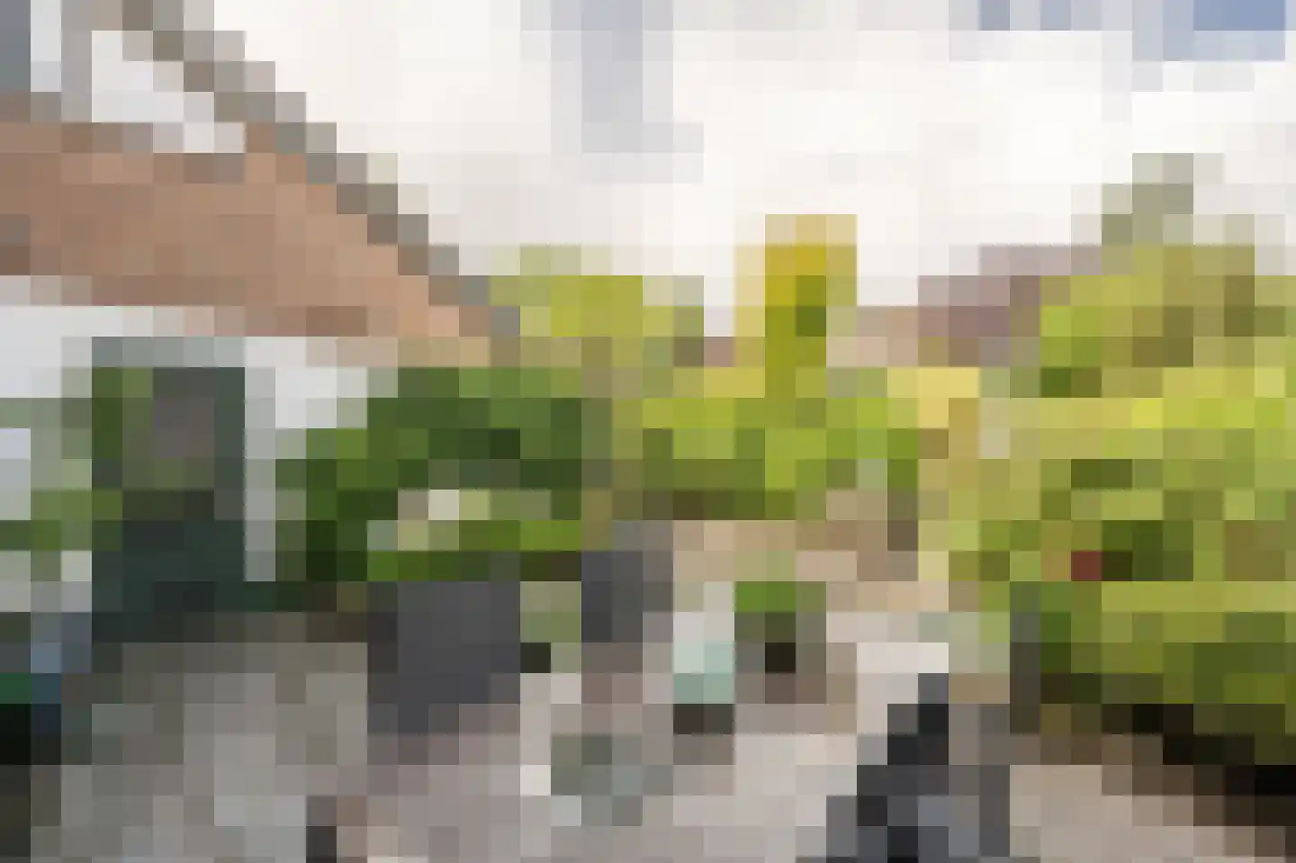 Laan van Westmolen 44 Mijnsheerenland thumbnail 39
