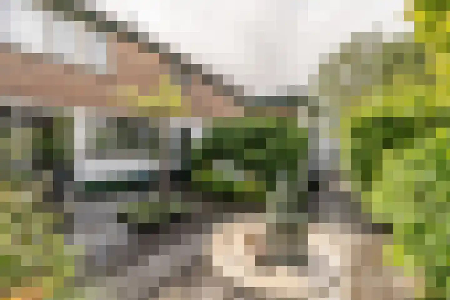 Laan van Westmolen 44 Mijnsheerenland thumbnail 40