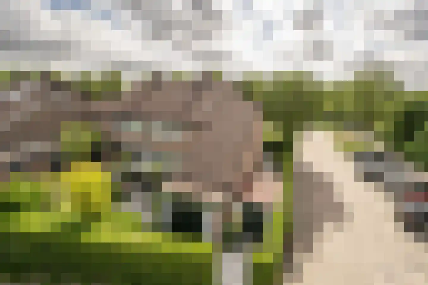 Laan van Westmolen 44 Mijnsheerenland thumbnail 41