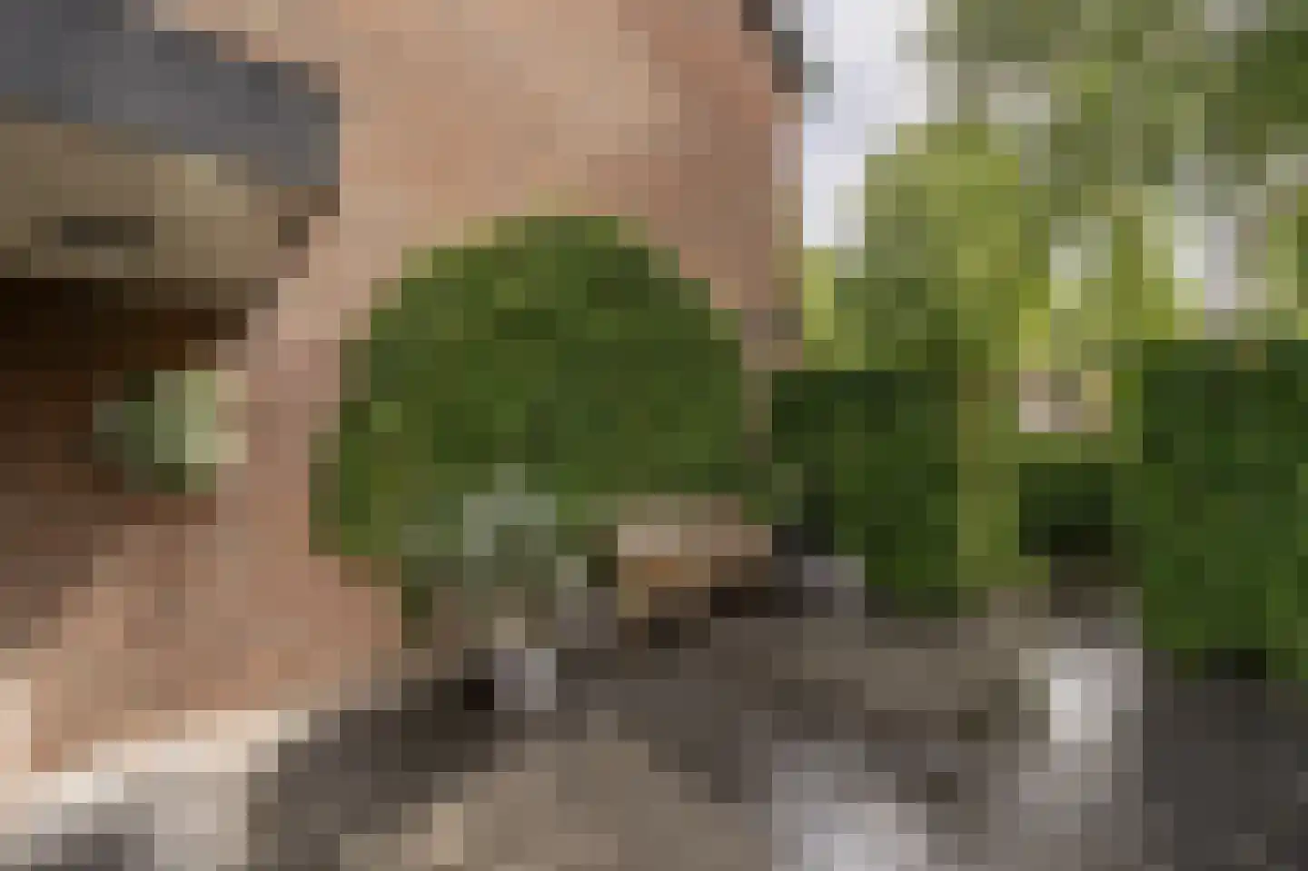 Laan van Westmolen 44 Mijnsheerenland thumbnail 43