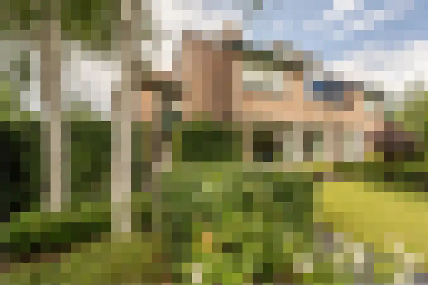 Laan van Westmolen 44 Mijnsheerenland thumbnail 45