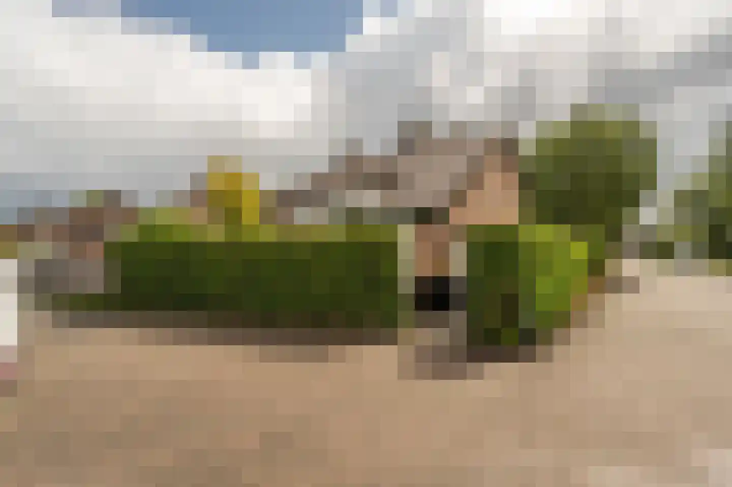 Laan van Westmolen 44 Mijnsheerenland thumbnail 48
