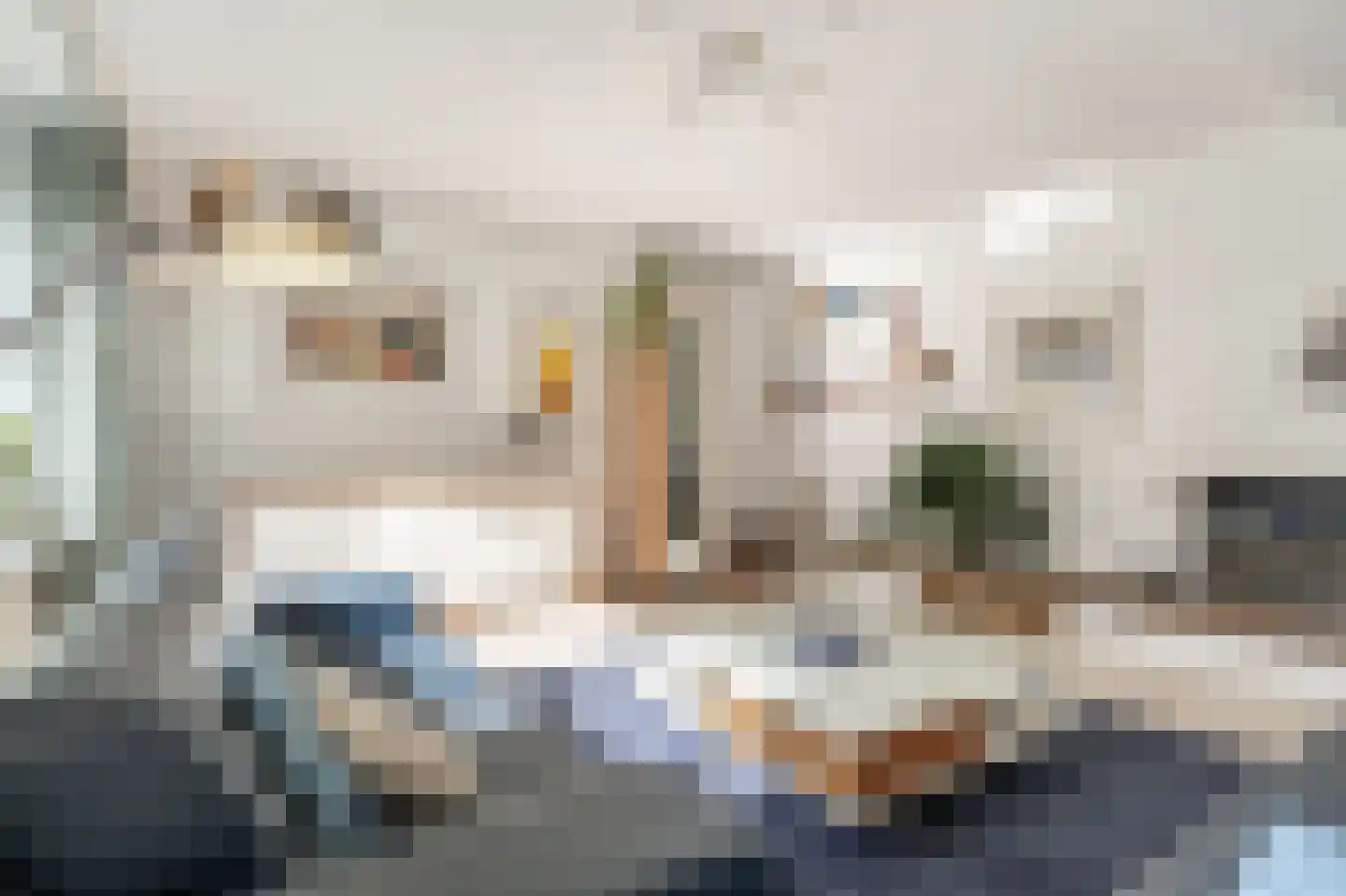 Laan van Westmolen 44 Mijnsheerenland thumbnail 5
