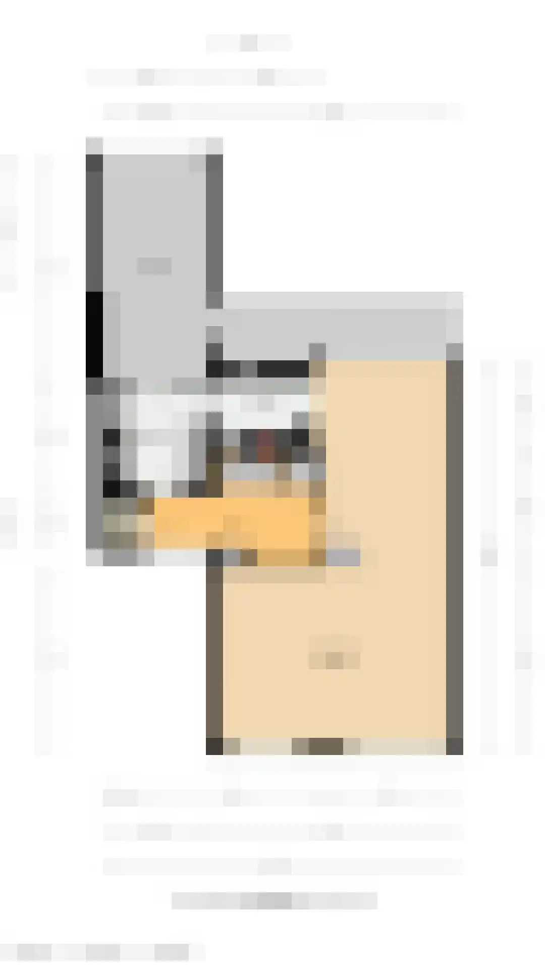 Laan van Westmolen 44 Mijnsheerenland thumbnail 51