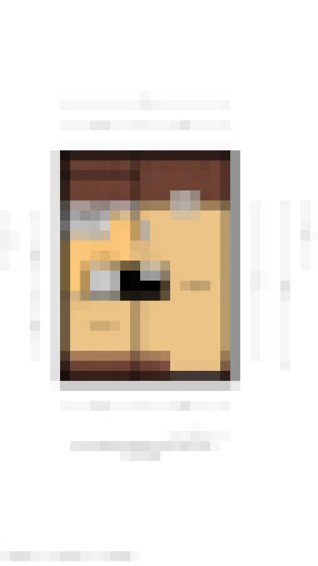 Laan van Westmolen 44 Mijnsheerenland thumbnail 53