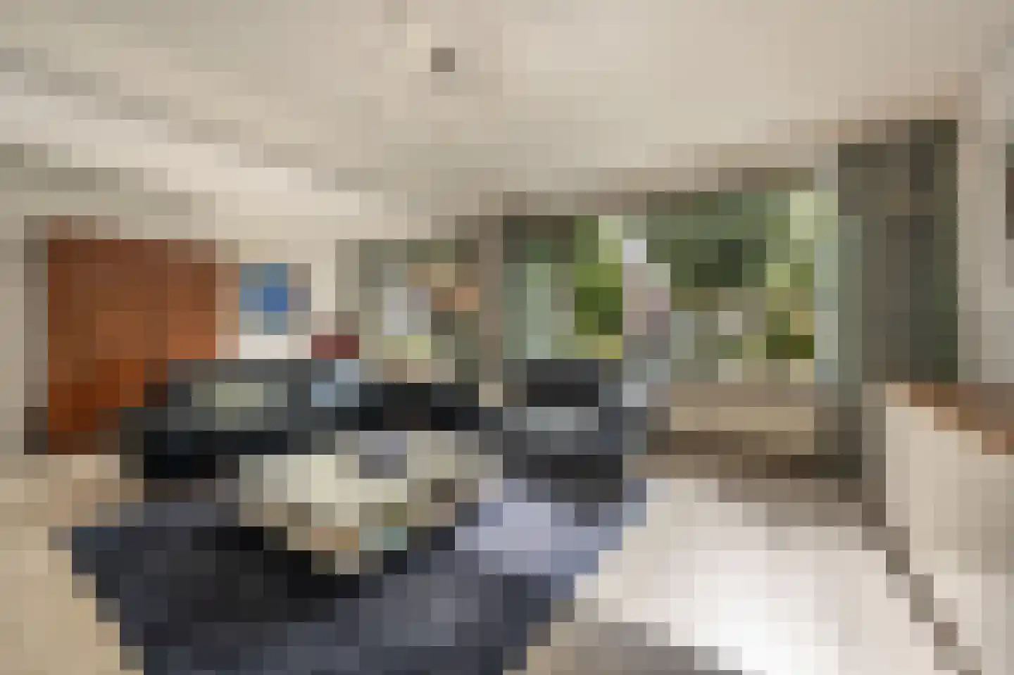 Laan van Westmolen 44 Mijnsheerenland thumbnail 6