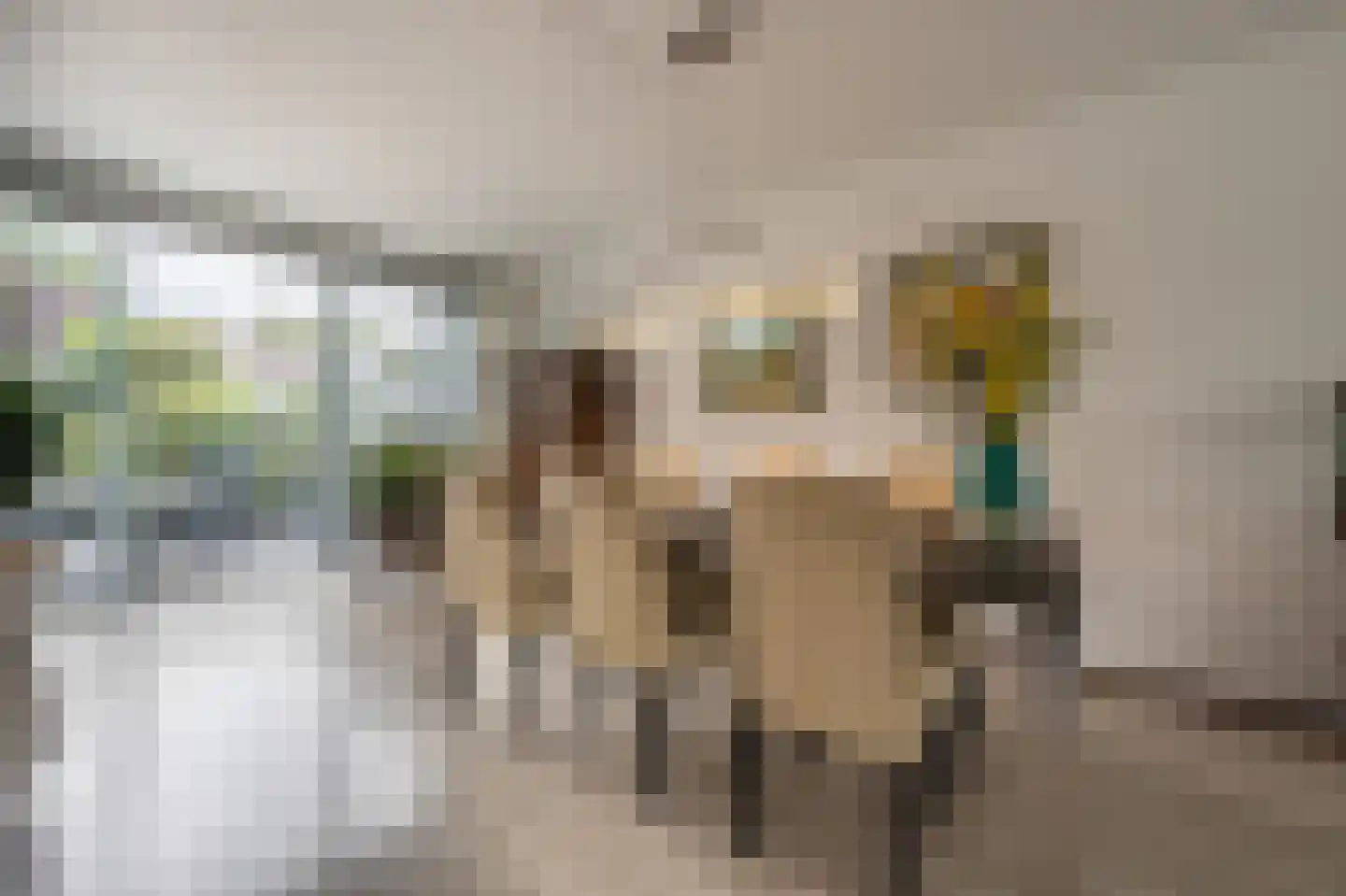 Laan van Westmolen 44 Mijnsheerenland thumbnail 9