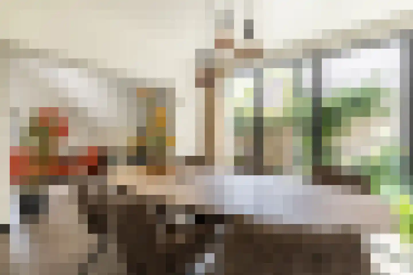 Laan van Westmolen 81 Mijnsheerenland thumbnail 15