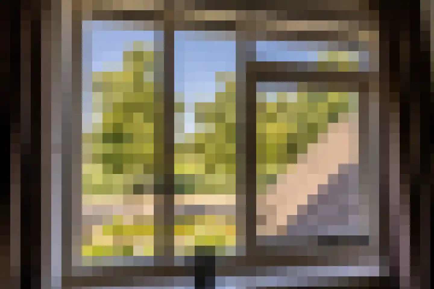 Laan van Westmolen 81 Mijnsheerenland thumbnail 24