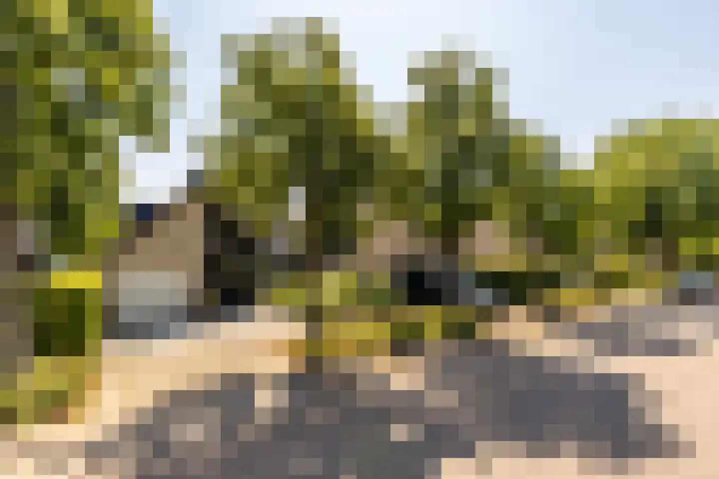 Laan van Westmolen 81 Mijnsheerenland thumbnail 38
