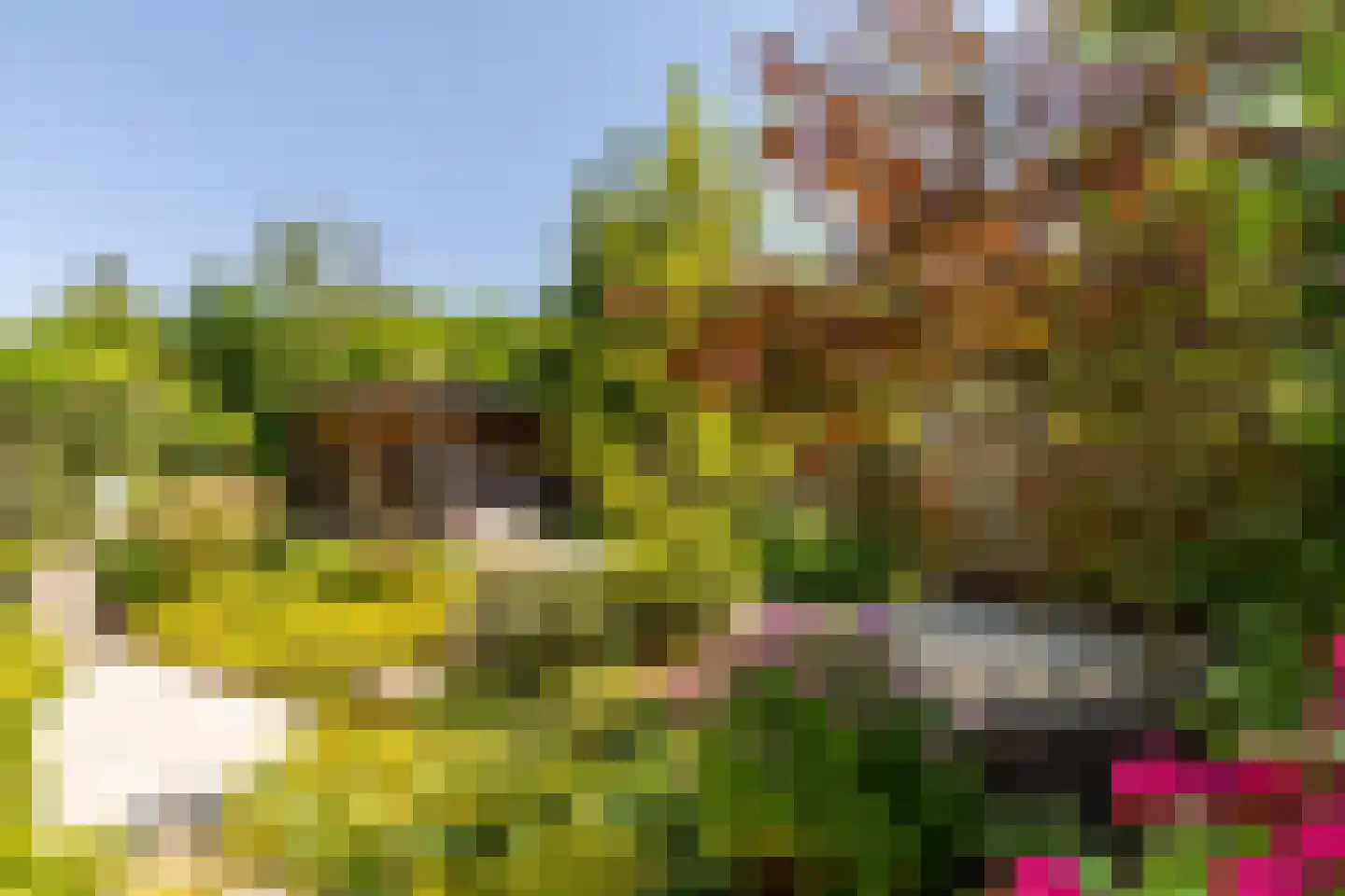 Laan van Westmolen 81 Mijnsheerenland thumbnail 4
