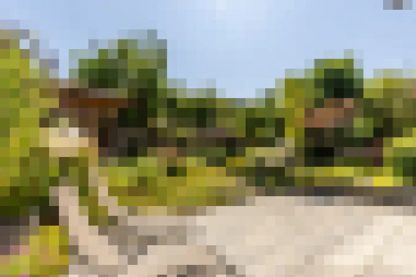Laan van Westmolen 81 Mijnsheerenland thumbnail 47