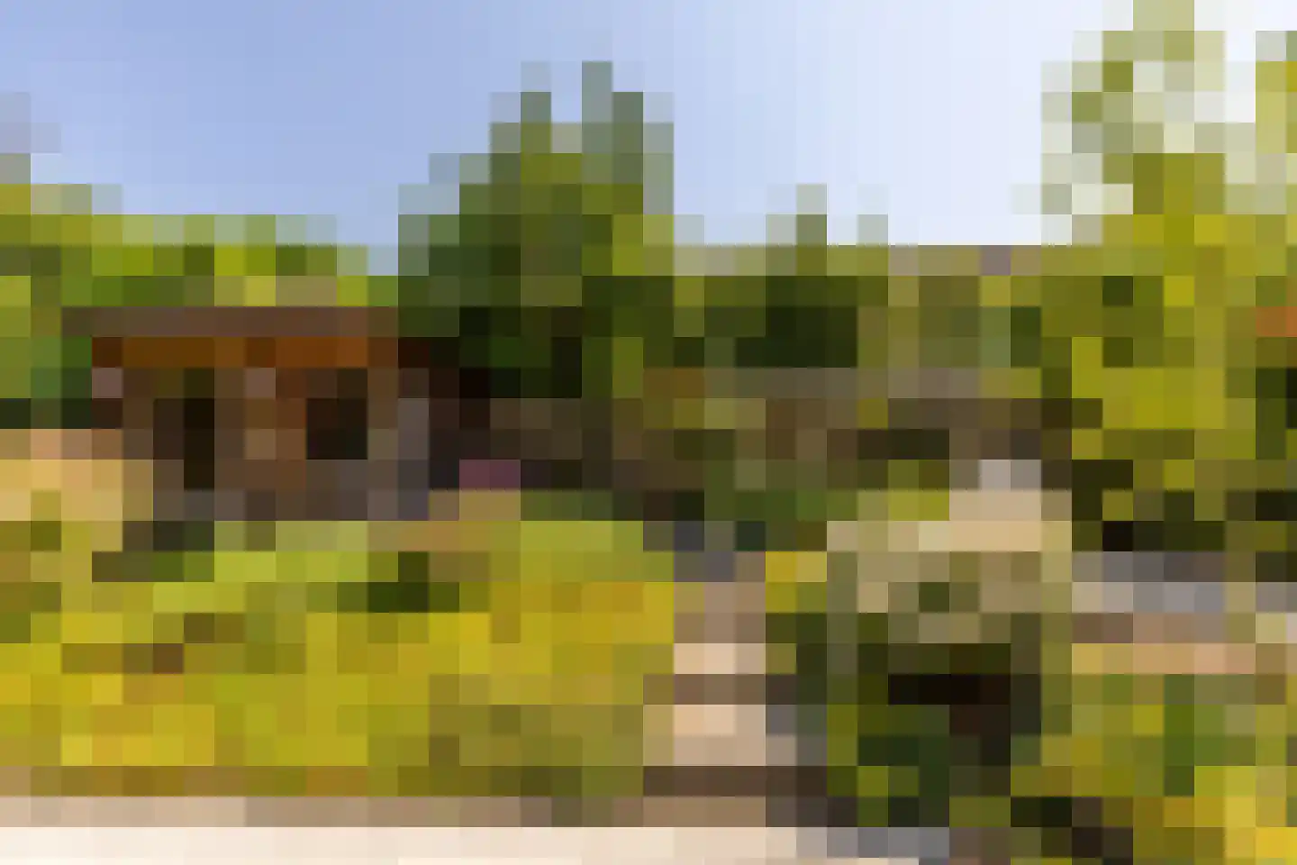 Laan van Westmolen 81 Mijnsheerenland thumbnail 48