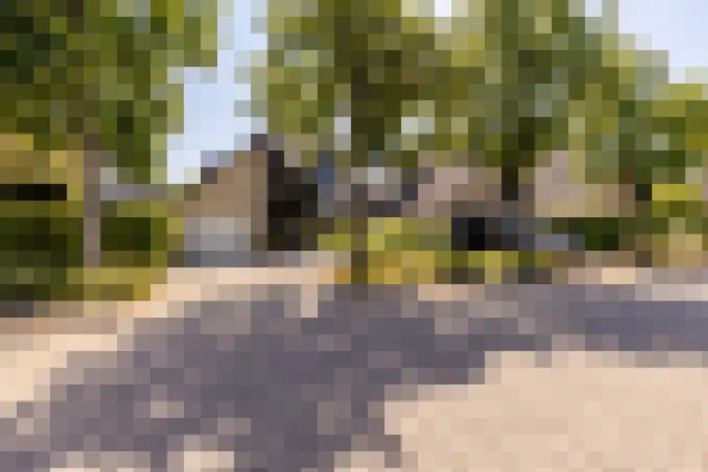 Laan van Westmolen 81 Mijnsheerenland thumbnail 5