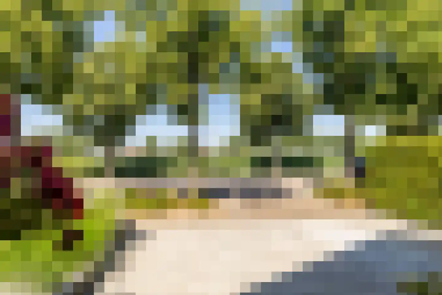 Laan van Westmolen 81 Mijnsheerenland thumbnail 6