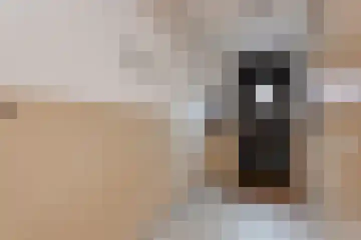 Laan van York 10 Hoofddorp thumbnail 9