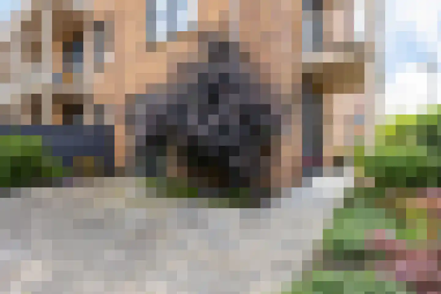 Laan van York 2 Hoofddorp foto 2