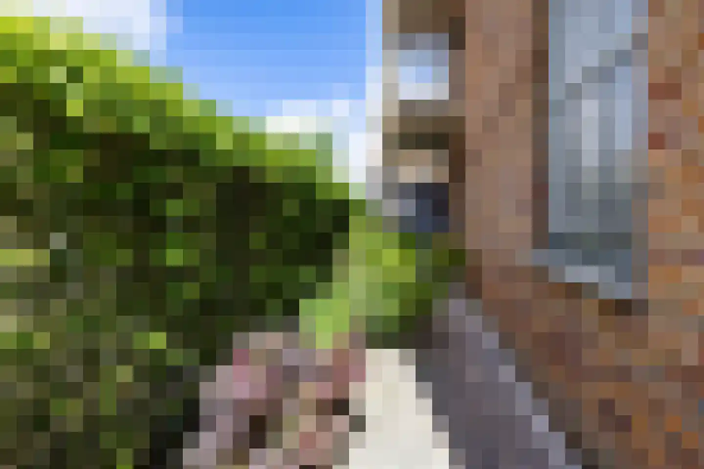 Laan van York 2 Hoofddorp thumbnail 24