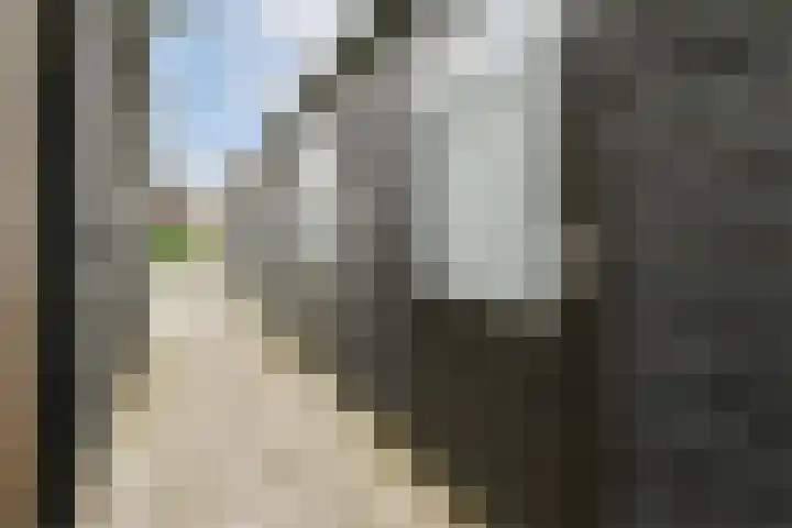 Laan van York 4 Hoofddorp thumbnail 14