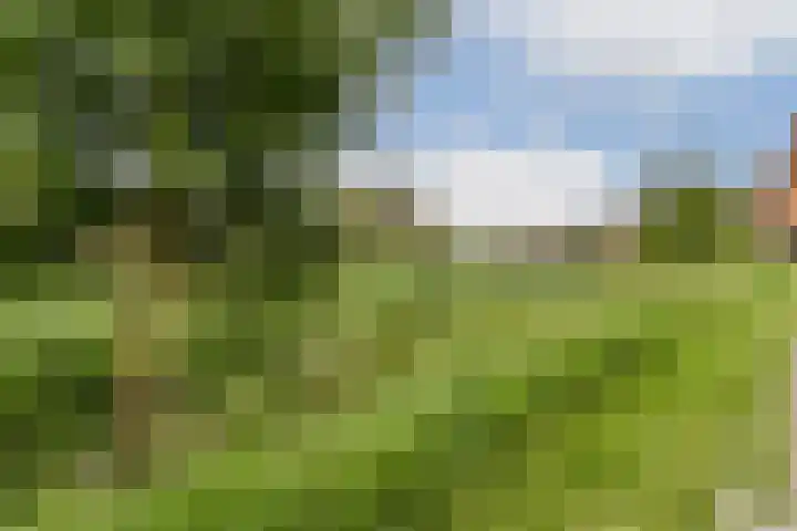 Laan van York 4 Hoofddorp thumbnail 16