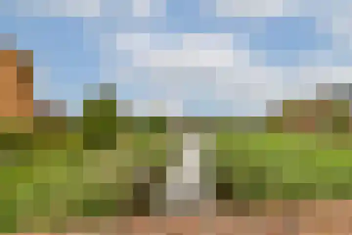 Laan van York 4 Hoofddorp thumbnail 17