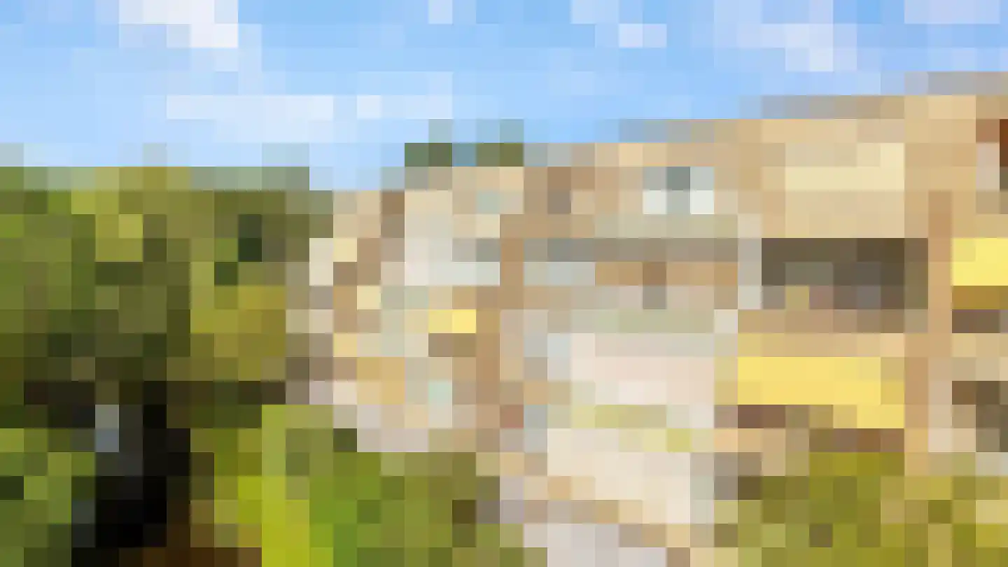 Laan van Ypenhof 128 Rotterdam thumbnail 35