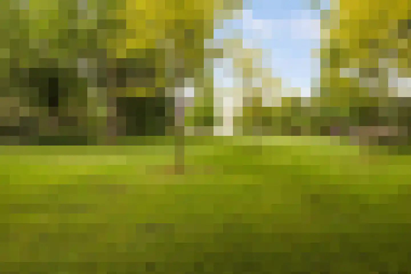 Laan van Ypenhof 128 Rotterdam thumbnail 38