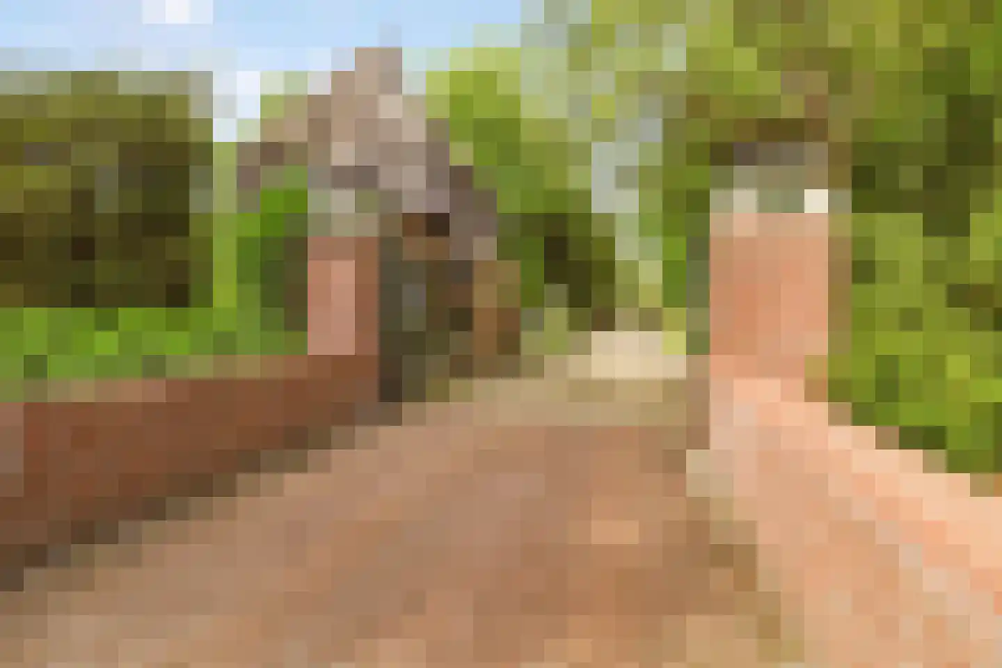 Laan van Ypenhof 128 Rotterdam thumbnail 4