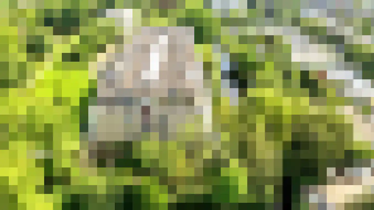Laan van Ypenhof 128 Rotterdam thumbnail 5