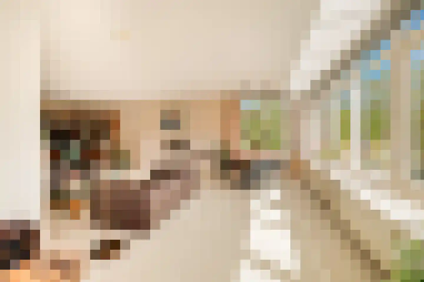 Laan van Ypenhof 138 Rotterdam thumbnail 13