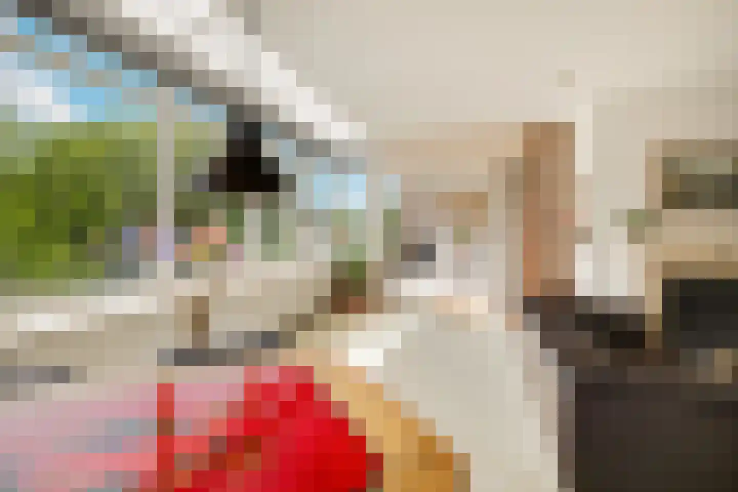 Laan van Ypenhof 138 Rotterdam thumbnail 14