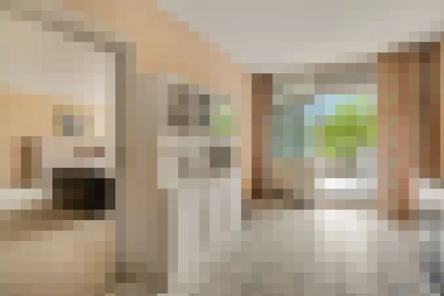 Laan van Ypenhof 138 Rotterdam thumbnail 18