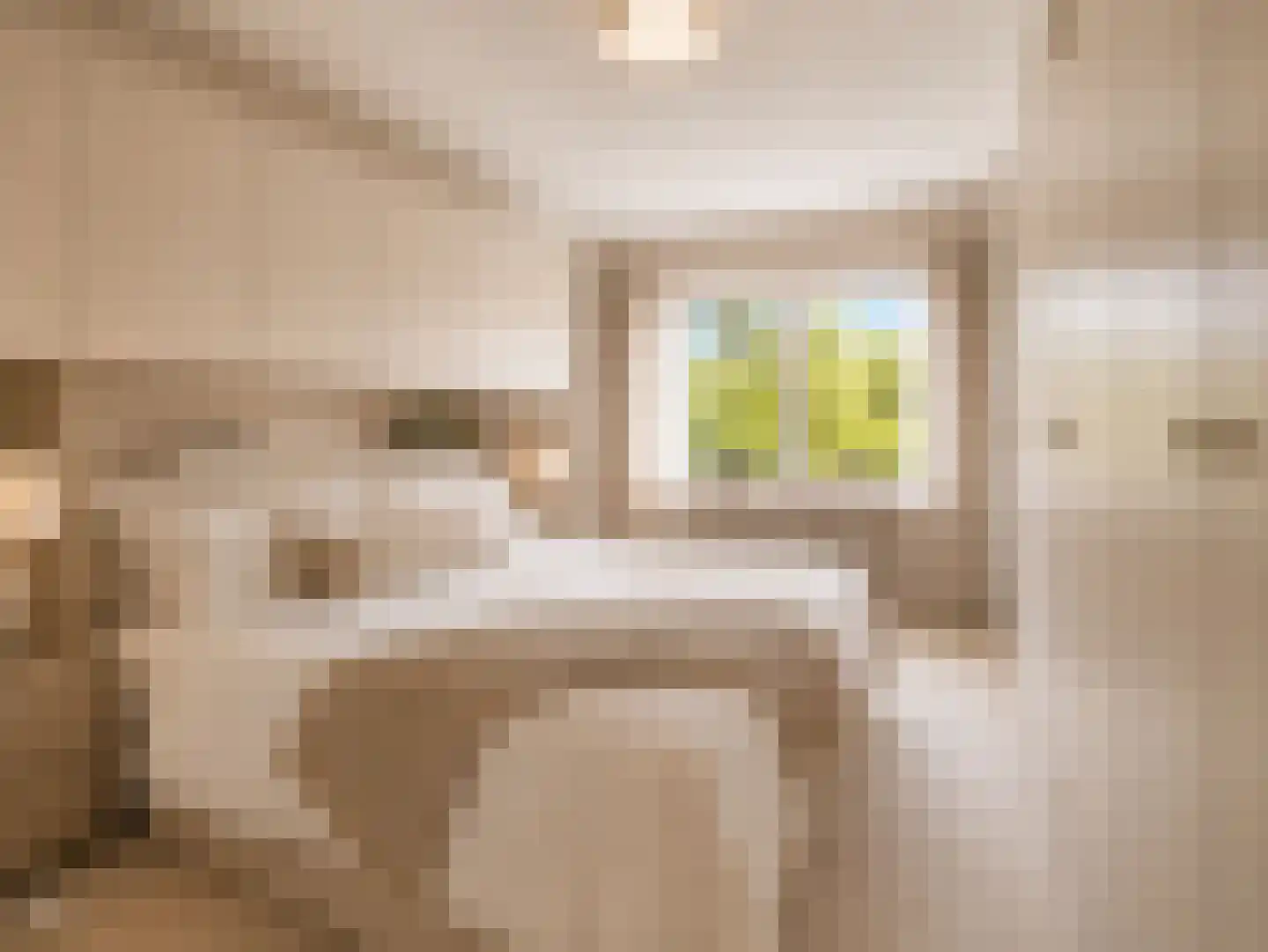 Laan van Ypenhof 138 Rotterdam thumbnail 23