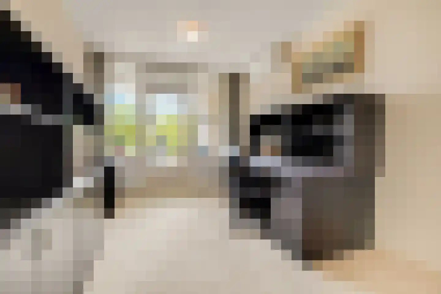 Laan van Ypenhof 138 Rotterdam thumbnail 29