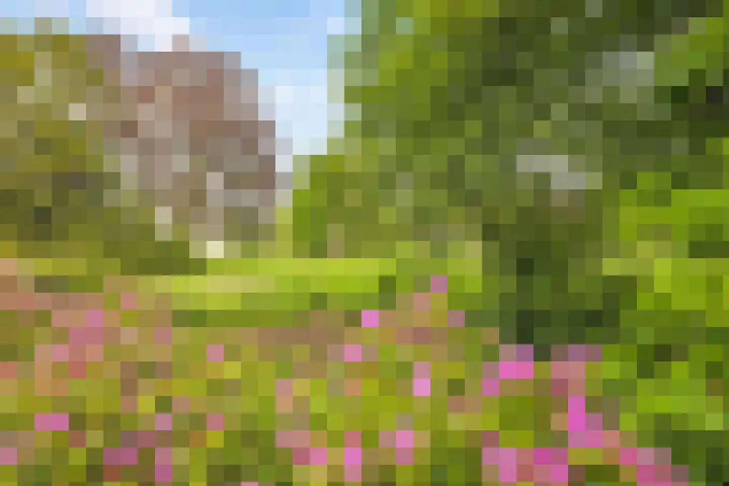 Laan van Ypenhof 138 Rotterdam thumbnail 36