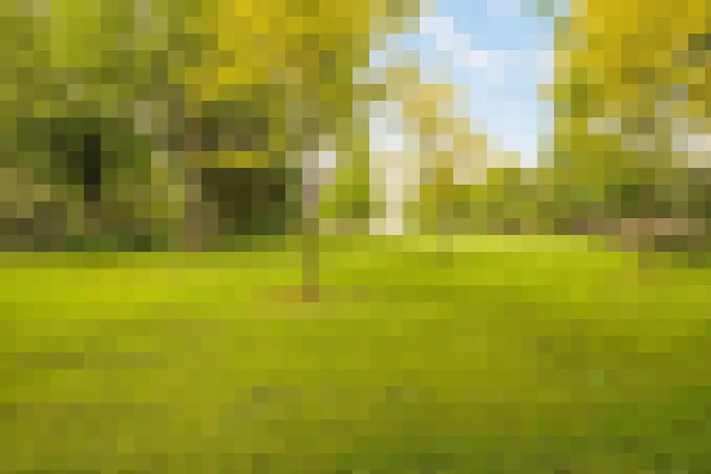 Laan van Ypenhof 138 Rotterdam thumbnail 37