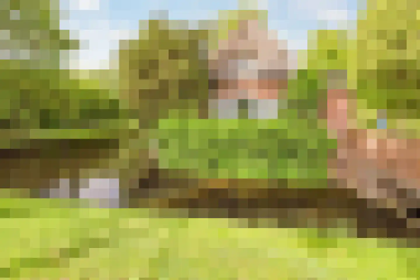 Laan van Ypenhof 138 Rotterdam thumbnail 38
