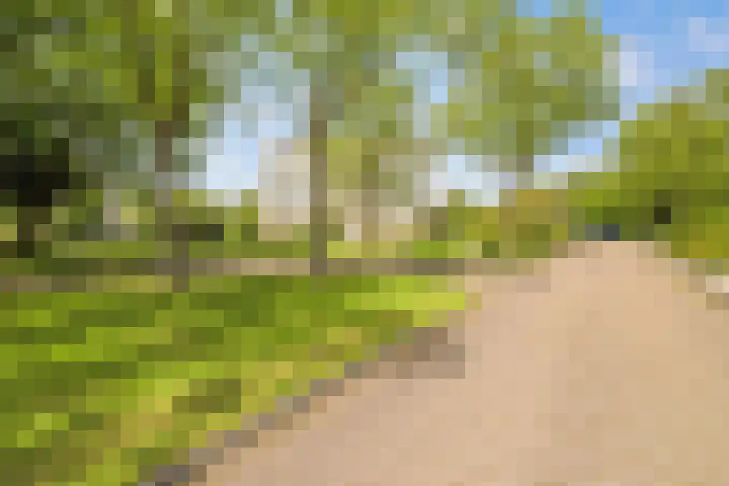 Laan van Ypenhof 138 Rotterdam thumbnail 6