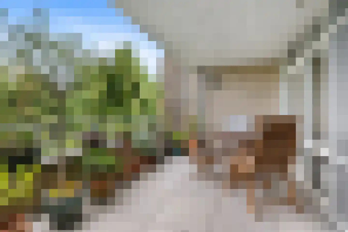 Laan van Ypenhof 146 Rotterdam thumbnail 16