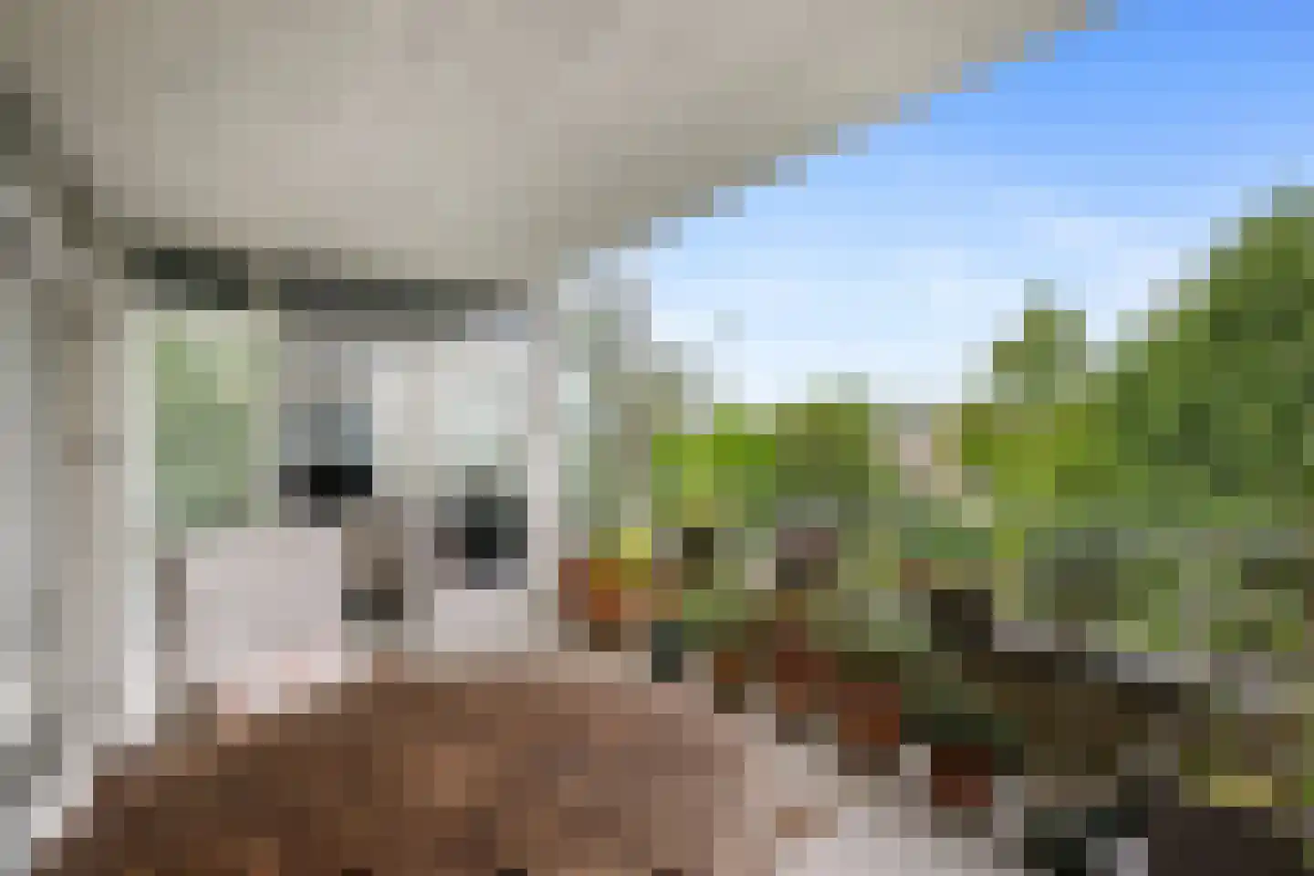 Laan van Ypenhof 146 Rotterdam thumbnail 17