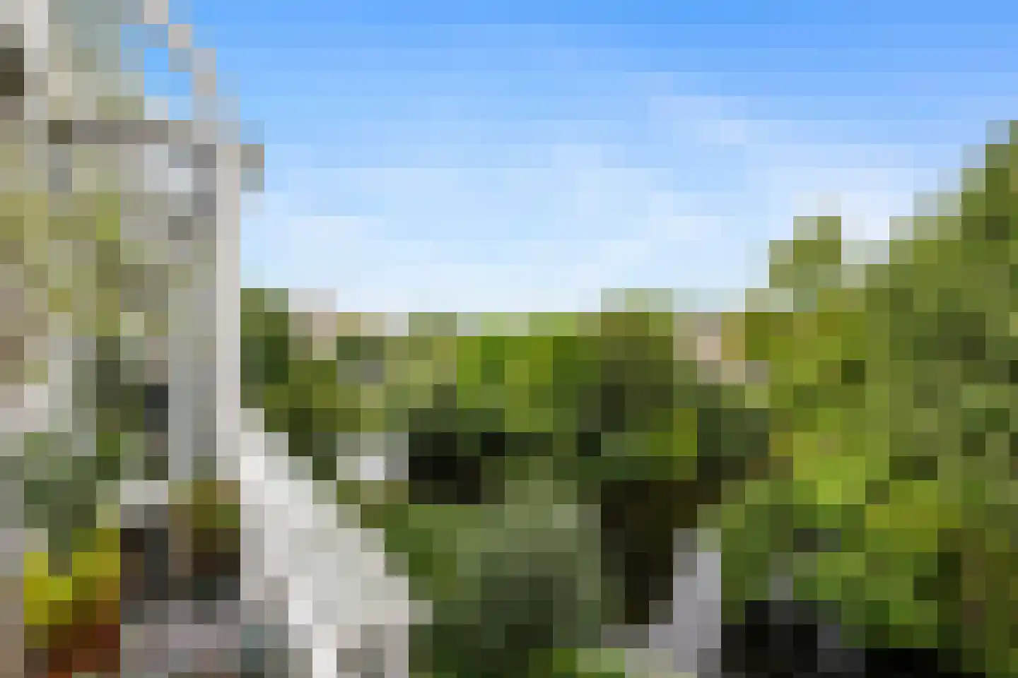 Laan van Ypenhof 146 Rotterdam thumbnail 19