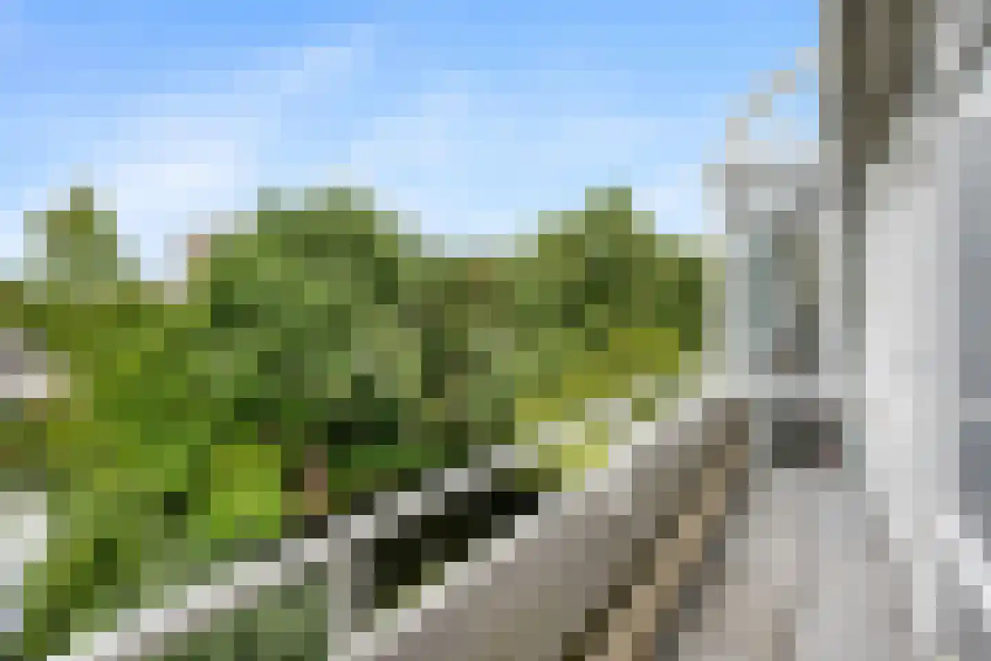 Laan van Ypenhof 146 Rotterdam thumbnail 31