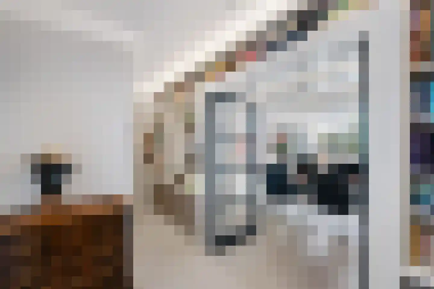 Laan van Ypenhof 146 Rotterdam thumbnail 5