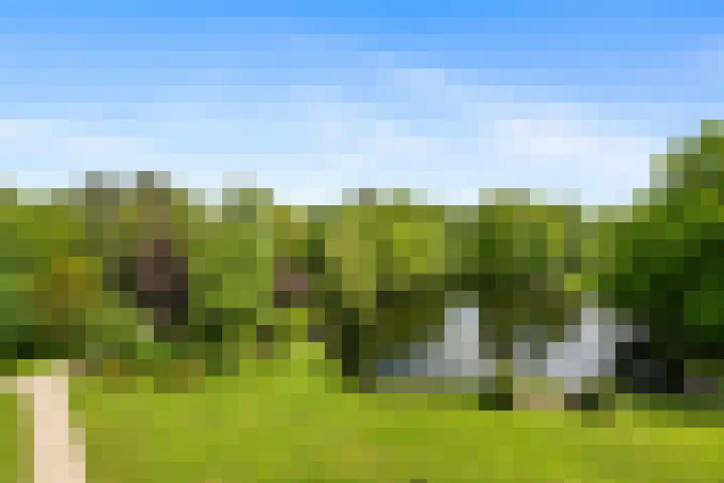 Laan van Ypenhof 93 Rotterdam thumbnail 38