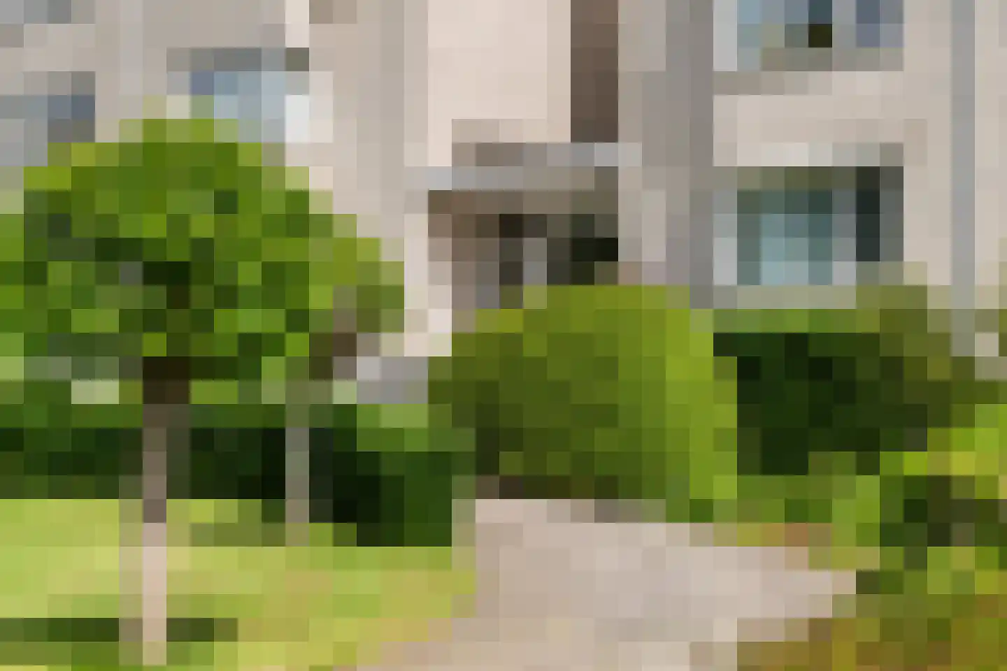 Laan van Ypenhof 93 Rotterdam thumbnail 4