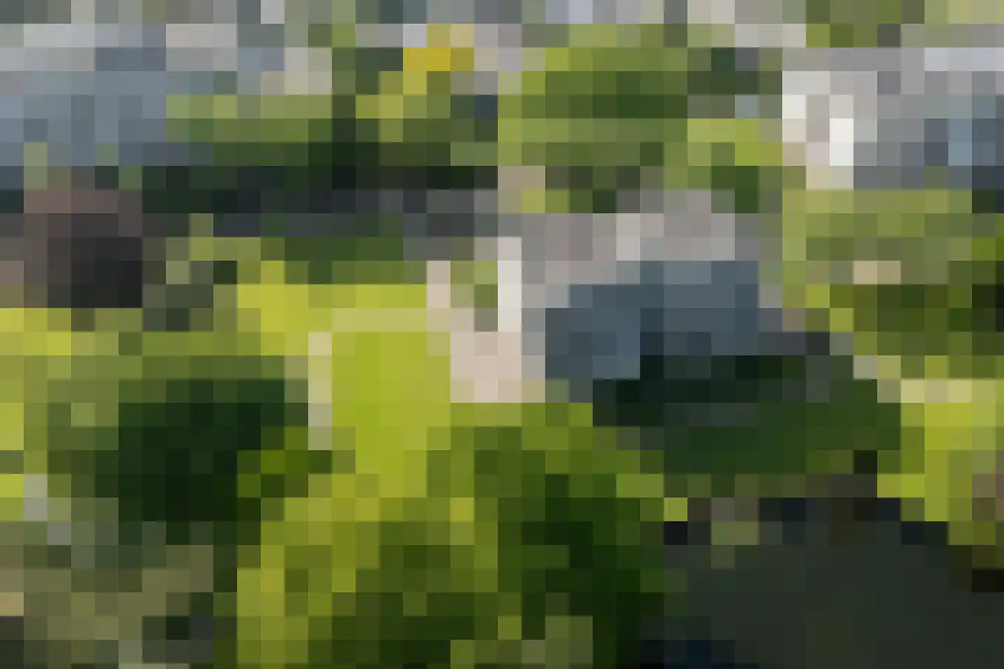 Laan van Ypenhof 93 Rotterdam thumbnail 44