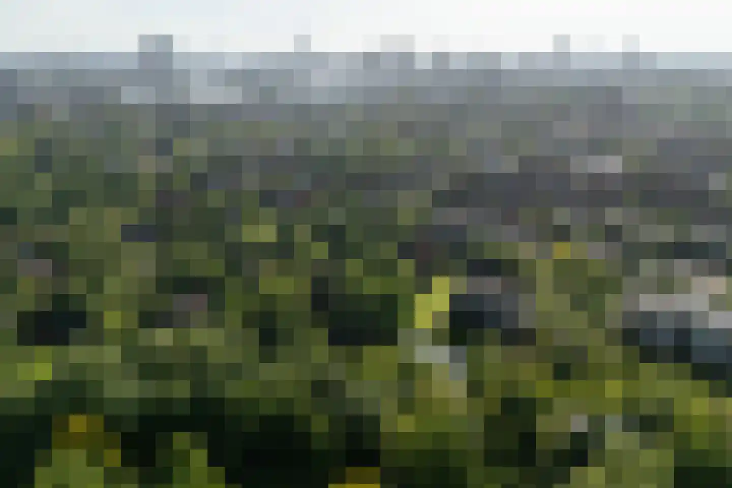 Laan van Ypenhof 93 Rotterdam thumbnail 45