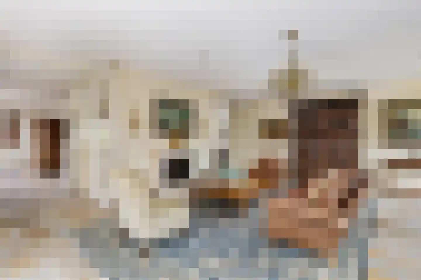 Laan van Ypenhof 93 Rotterdam thumbnail 6
